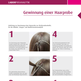 Gewinnung einer Haarprobe